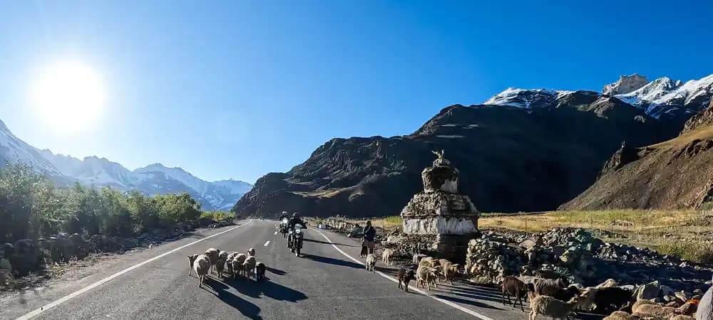 Indian Rides motorfiets op een bergweg in Ladakh met besneeuwde Himalayabergen op de achtergrond Indian Rides motorfiets op een bergweg in Ladakh met besneeuwde Himalayabergen op de achtergrond